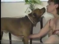 Brunette chick jacking off dog dick while rubbing her pussy